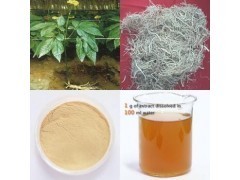 人參提取物_商城_西安天瑞生物技術供應部會員商鋪-中國貿(mào)易網(wǎng)-會員網(wǎng)站