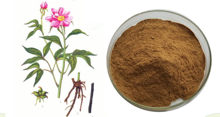 赤芍提取物 芍藥苷 廠家可定制生產(chǎn) 赤芍浸膏_植物提取物.