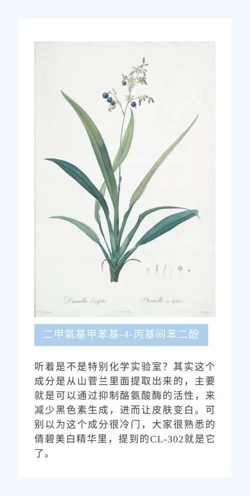 植物護(hù)膚品,植物提取物,怎么又成智商稅了