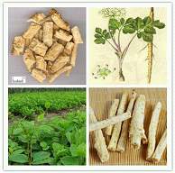 中國天然植物提取物行業市場淺析