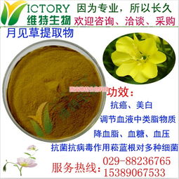 月見(jiàn)草提取物限時(shí)促銷(xiāo)，西安維特生物科技為您帶來(lái)純正植物精華