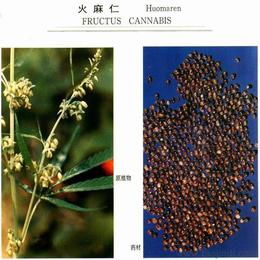 如何尋找可靠的植物提取物批發(fā)貨源與供應(yīng)商